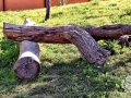 A-Jose-Luis-Bernal-1