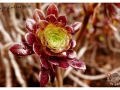2on-Mayte-Cortina-3