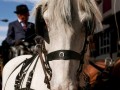 002-Mayte-Cortina-COL-3