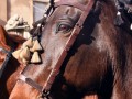 2on.-Josep-Lluis-Bernal-1