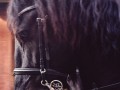 2on.-Josep-Lluis-Bernal-2