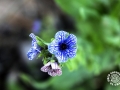 2018-05-19_033