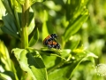 2018-05-19_035