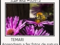 La natura de miniatura amb Boni