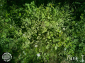 IMG-20230429-WA0025-01