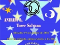 11 Cartell Torre Salvana