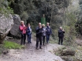 Mas Banyeres_60