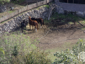 a-Castellfollit-de-la-Roca-10