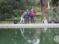 IMG_0070-copia
