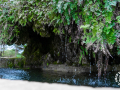 PS_DSC0001