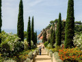 MariMurtra (Jardí Botànic)