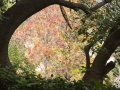 Image00004