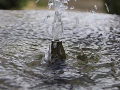 Image00020