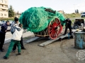 29-01-2017-244