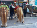 Sant-Antoni-148