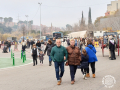 Sant-Antoni-183