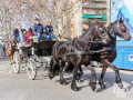 Sant-Antoni-200