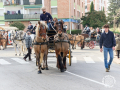 Sant-Antoni-203