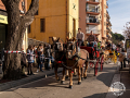 Sant-Antoni-208