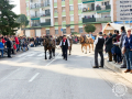 Sant-Antoni-217