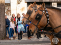 Sant-Antoni-219