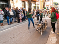 Sant-Antoni-222