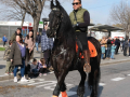 Sant-Antoni-304