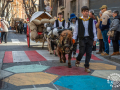 Sant-Antoni-337