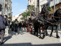 Sant-Antoni-364