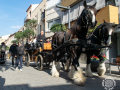 Sant-Antoni-365