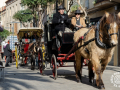 Sant-Antoni-366
