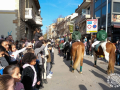 Sant-Antoni-417