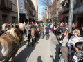 Sant-Antoni-423