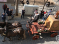 Sant-Antoni-437