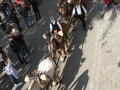 Sant-Antoni-456