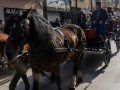 Sant-Antoni-473