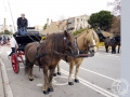 2016-01-31_216-Sant Antoni