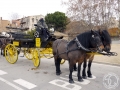 2016-01-31_218-Sant Antoni
