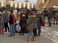 2016-01-31_231-Sant Antoni