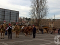 2016-01-31_237-Sant Antoni