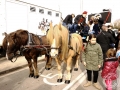 2016-01-31_244-Sant Antoni