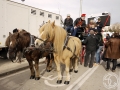 2016-01-31_246-Sant Antoni