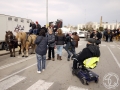 2016-01-31_251-Sant Antoni