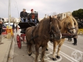 2016-01-31_264-Sant Antoni