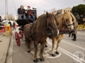 2016-01-31_265-Sant Antoni