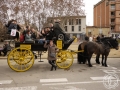 2016-01-31_266-Sant Antoni
