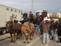 2016-01-31_274-Sant Antoni