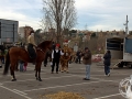 2016-01-31_277-Sant Antoni