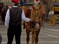 2016-01-31_279-Sant Antoni