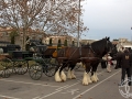 2016-01-31_289-Sant Antoni